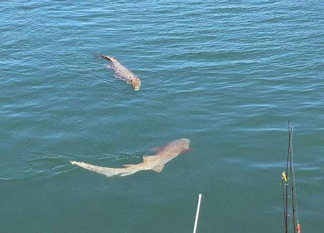 Daily Picdump [WEEKEND EDITION]