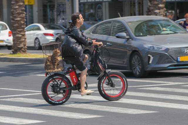 Daily Picdump [WEEKEND EDITION]