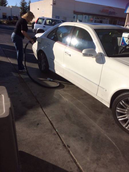 Daily Picdump [WEEKEND EDITION]