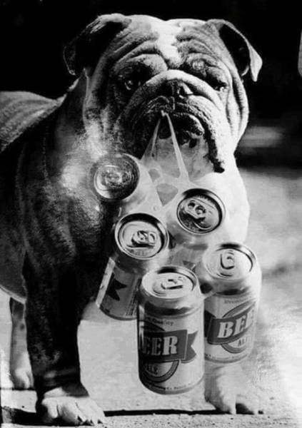 daily picdump weekend edition 75 pics 35.html - 75 HD Photos | Premium Gallery 2017