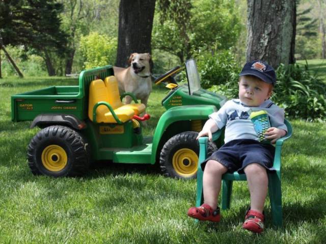 daily picdump weekend edition 75 pics 35.html - 75 HD Photos | Premium Gallery 2017