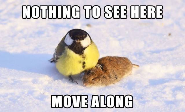 daily picdump weekend edition 75 pics 35.html - 75 HD Photos | Premium Gallery 2017