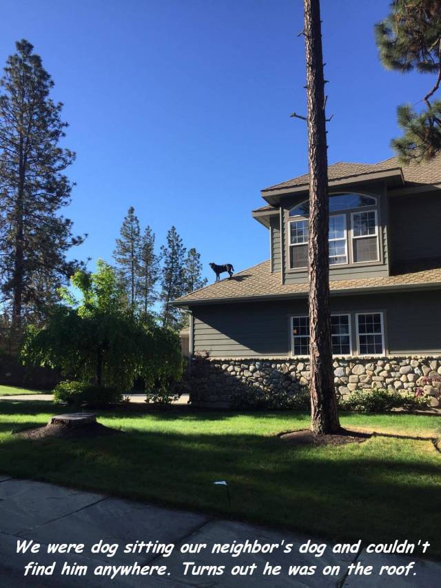 Daily Picdump [WEEKEND EDITION]