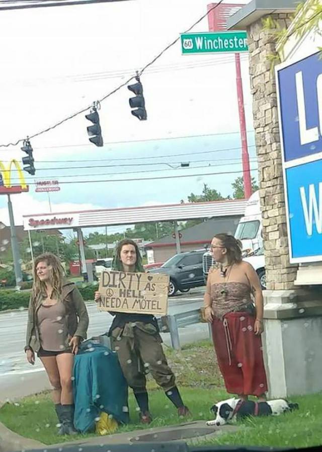 Daily Picdump [WEEKEND EDITION]