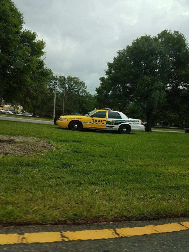 daily picdump weekend edition 75 pics 35.html - 75 HD Photos | Premium Gallery 2017