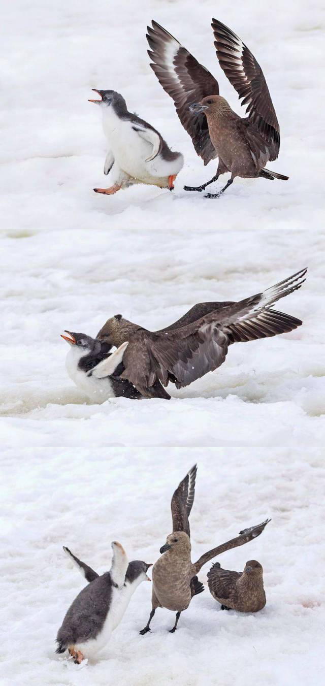 daily picdump weekend edition 75 pics 35.html - 75 HD Photos | Premium Gallery 2017