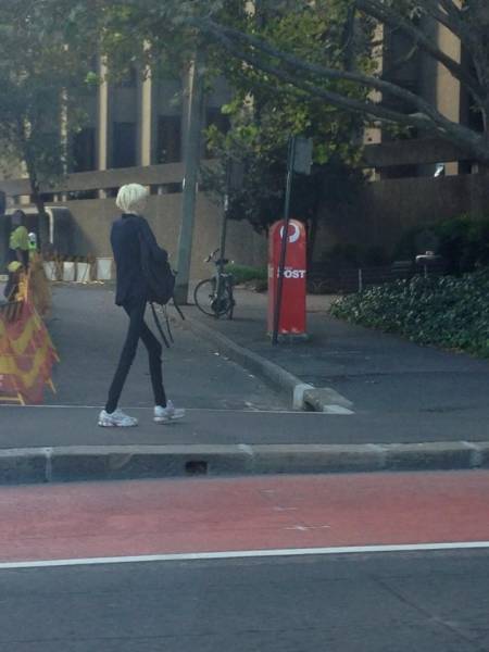 Daily Picdump