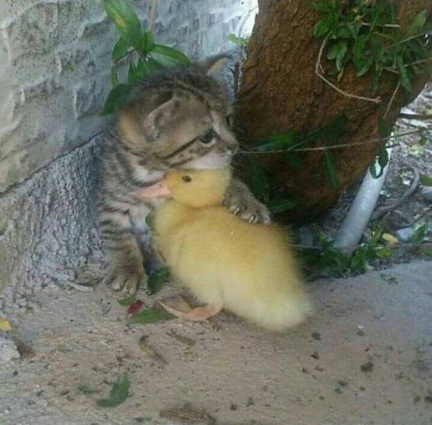 Daily Picdump