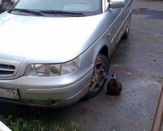 daily picdump 98 pics 3.html - 98 HD Photos | Premium Gallery 2017