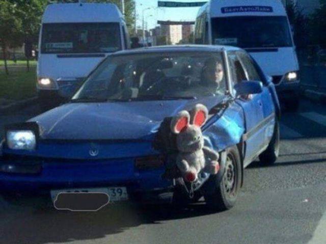 daily picdump 97 pics 40.html - 97 HD Photos | Premium Gallery 2017