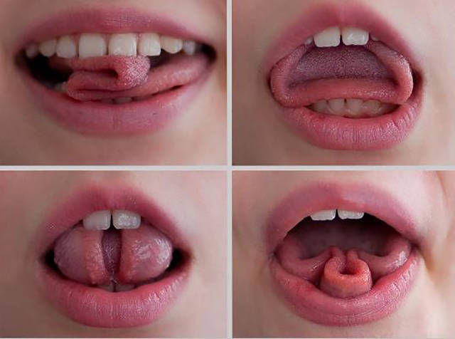 How Can One Be So Talented?!
