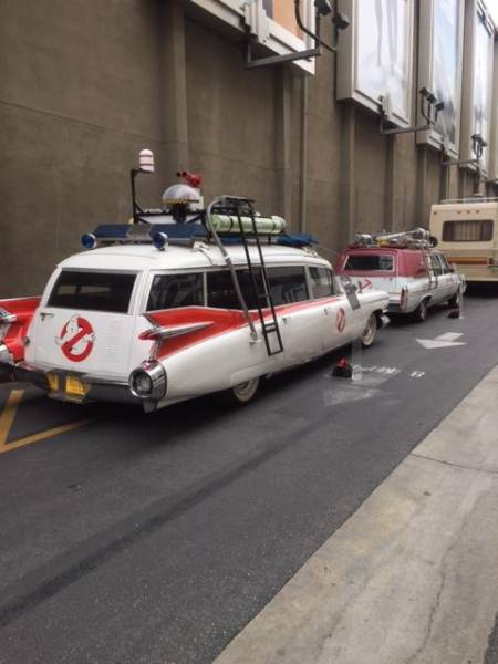 morning picdump 49 pics 12.html - 49 HD Photos | Premium Gallery 2017