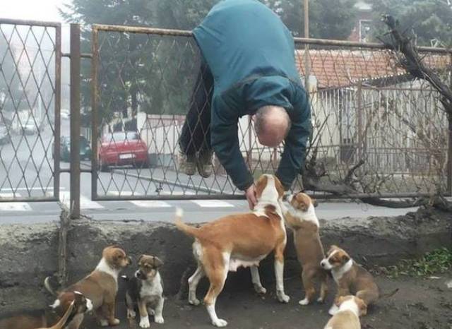 morning picdump 49 pics 12.html - 49 HD Photos | Premium Gallery 2017