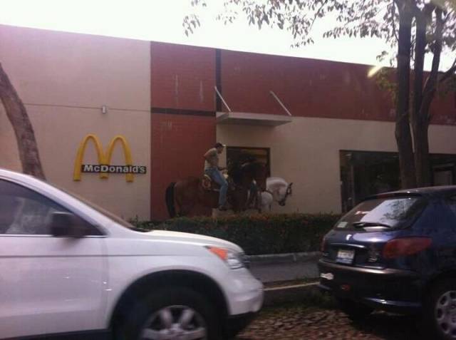 daily picdump 113 pics 36.html - 113 HD Photos | Premium Gallery 2017