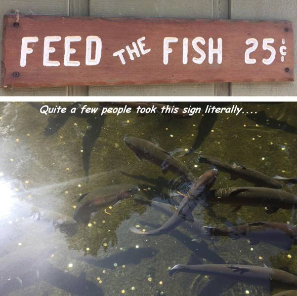 Daily Picdump