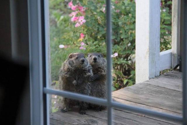 daily picdump 113 pics 36.html - 113 HD Photos | Premium Gallery 2017