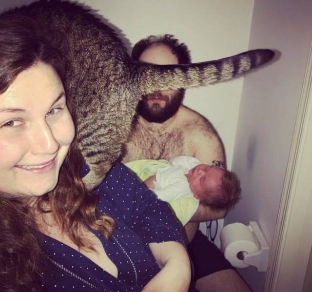 daily picdump 113 pics 36.html - 113 HD Photos | Premium Gallery 2017