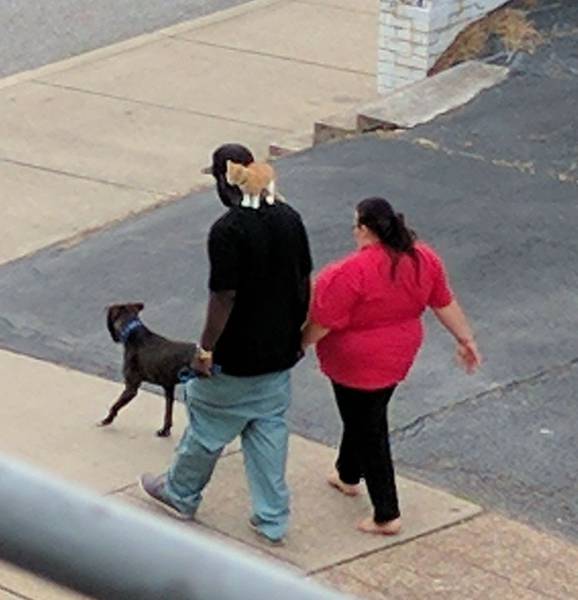 daily picdump 113 pics 36.html - 113 HD Photos | Premium Gallery 2017