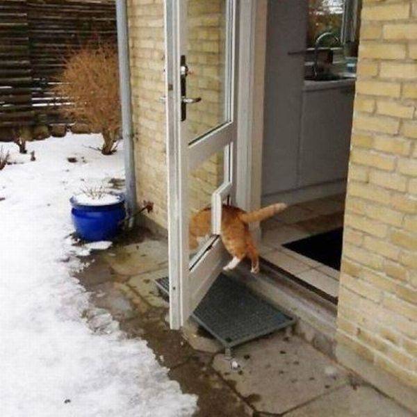 daily picdump 113 pics 36.html - 113 HD Photos | Premium Gallery 2017