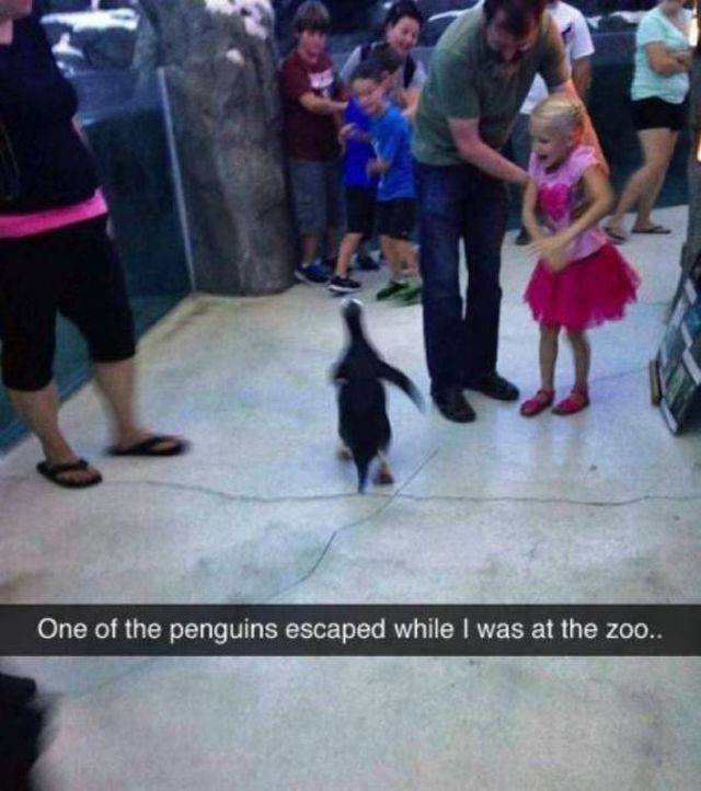 Daily Picdump