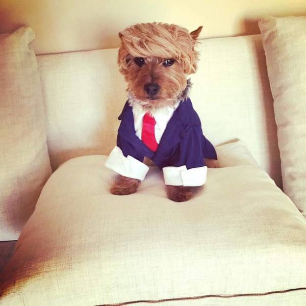 morning picdump 51 pics 9.html - 51 HD Photos | Premium Gallery 2017