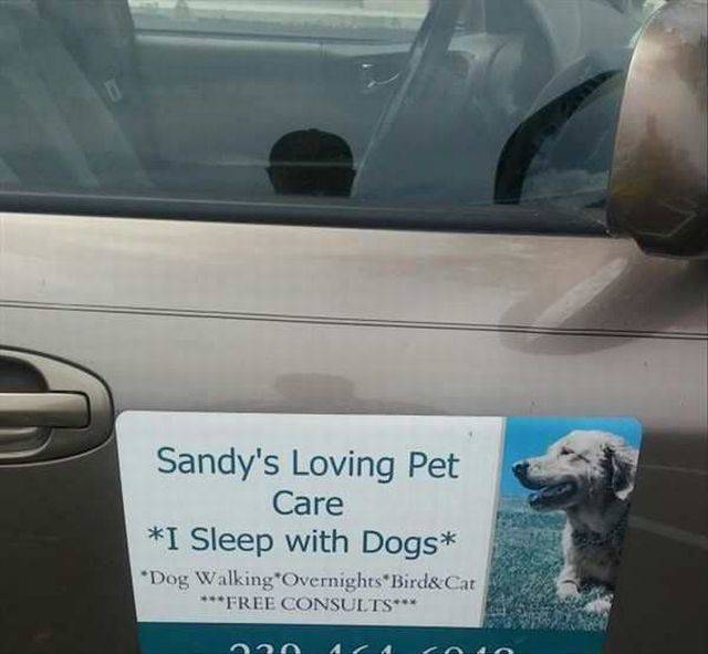 Daily Picdump