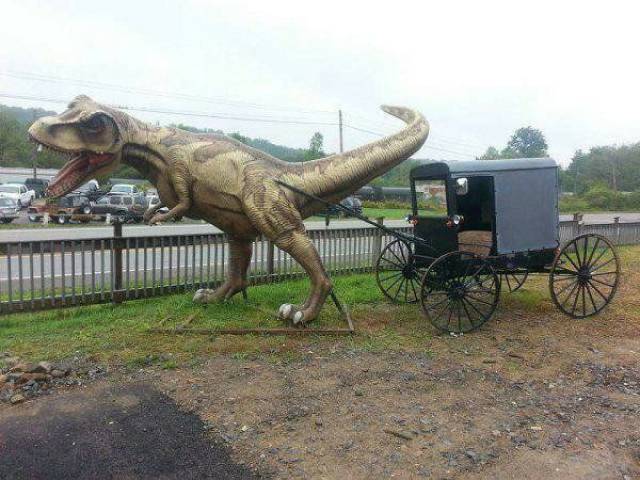 Daily Picdump