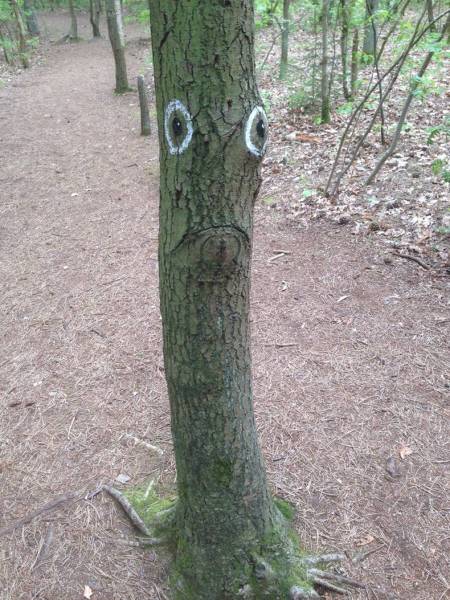 morning picdump 52 pics 1.html - 52 HD Photos | Premium Gallery 2017