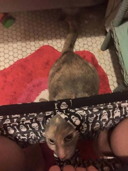 Daily Picdump