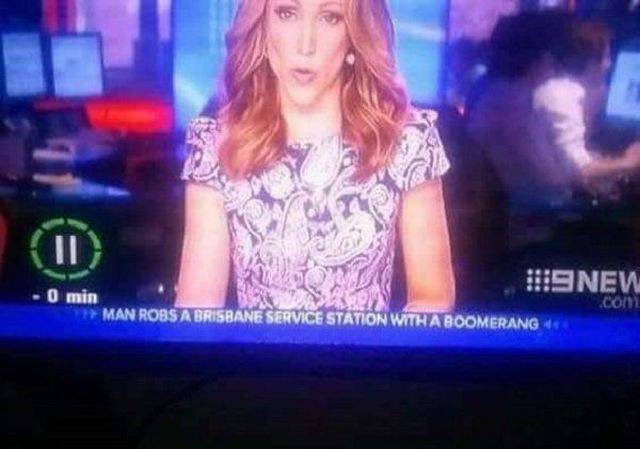 Daily Picdump