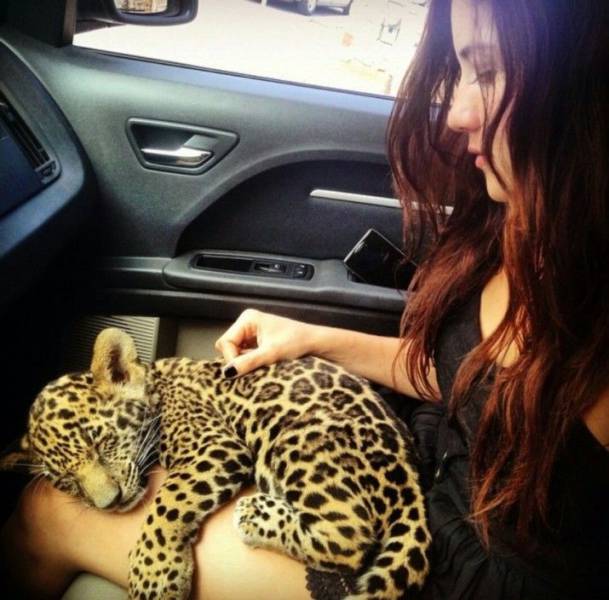 Daily Picdump