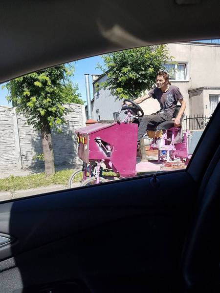 Daily Picdump