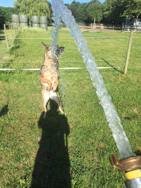 daily picdump 95 pics 25.html - 95 HD Photos | Premium Gallery 2017