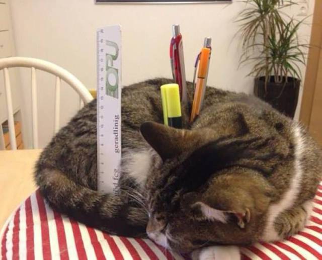 daily picdump 95 pics 25.html - 95 HD Photos | Premium Gallery 2017
