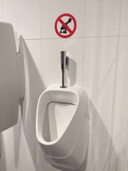 daily picdump 95 pics 25.html - 95 HD Photos | Premium Gallery 2017