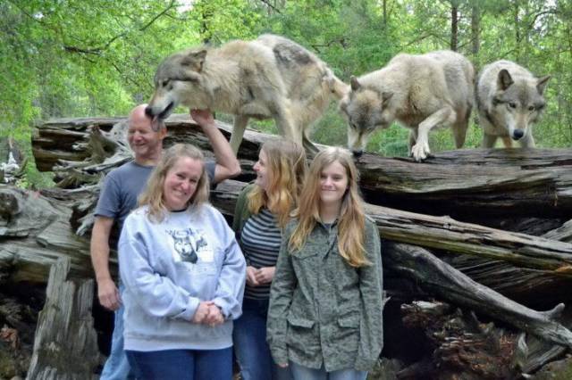 daily picdump 95 pics 25.html - 95 HD Photos | Premium Gallery 2017