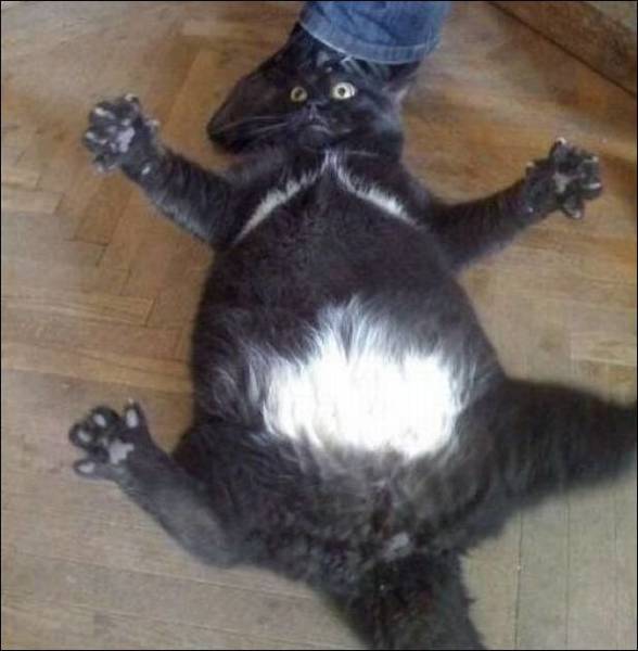 daily picdump 95 pics 25.html - 95 HD Photos | Premium Gallery 2017
