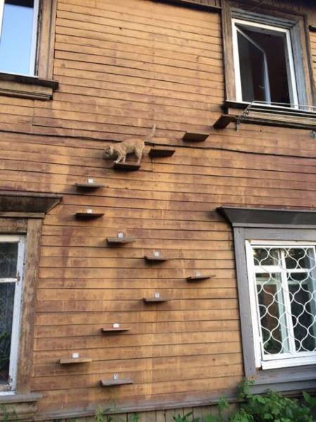 daily picdump 95 pics 25.html - 95 HD Photos | Premium Gallery 2017