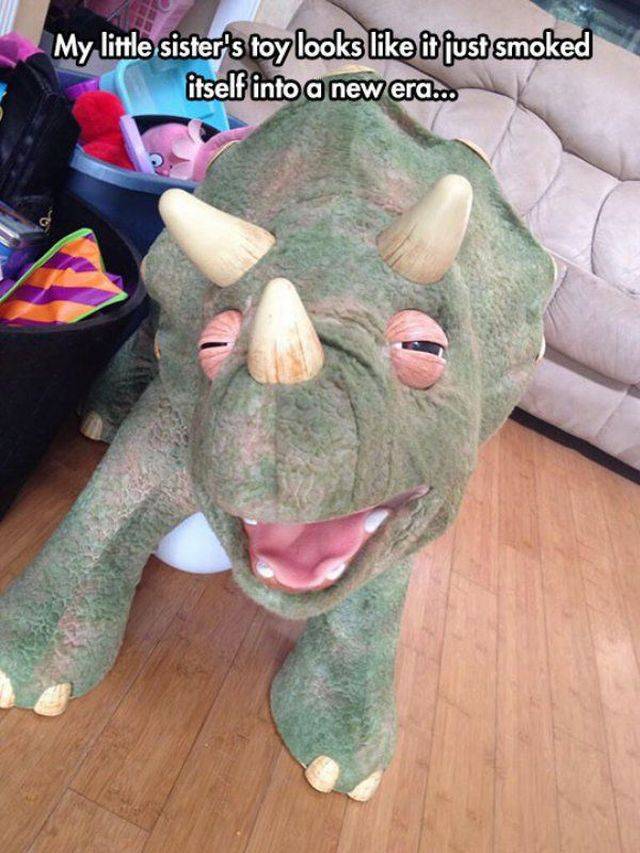 Daily Picdump