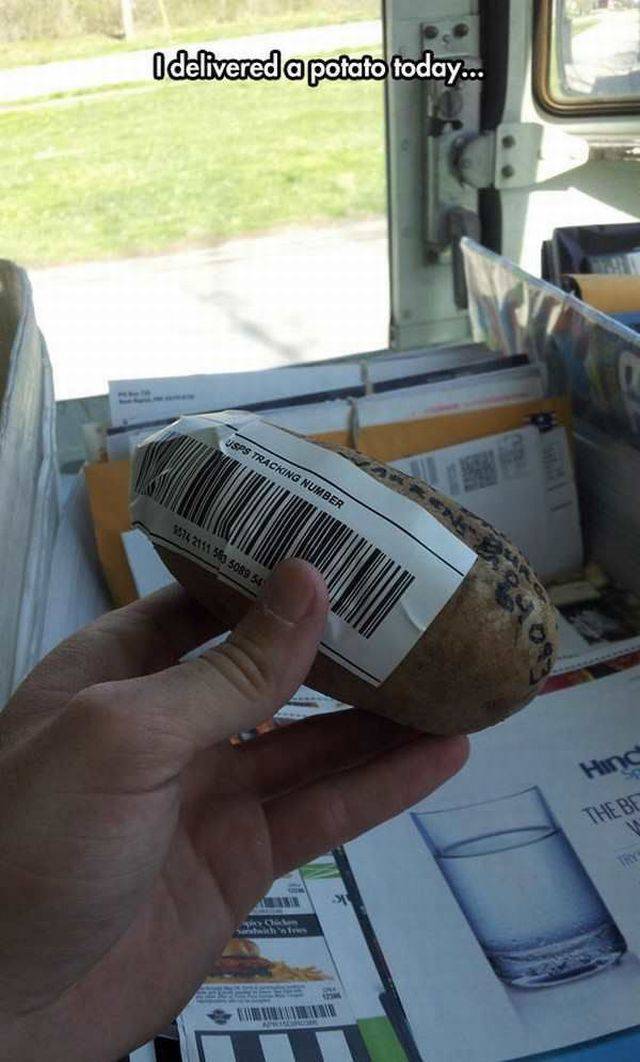 Daily Picdump