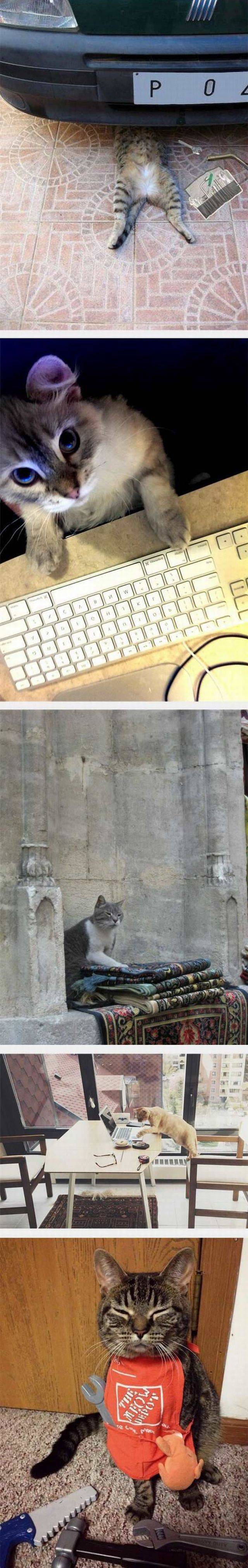 daily picdump 95 pics 25.html - 95 HD Photos | Premium Gallery 2017