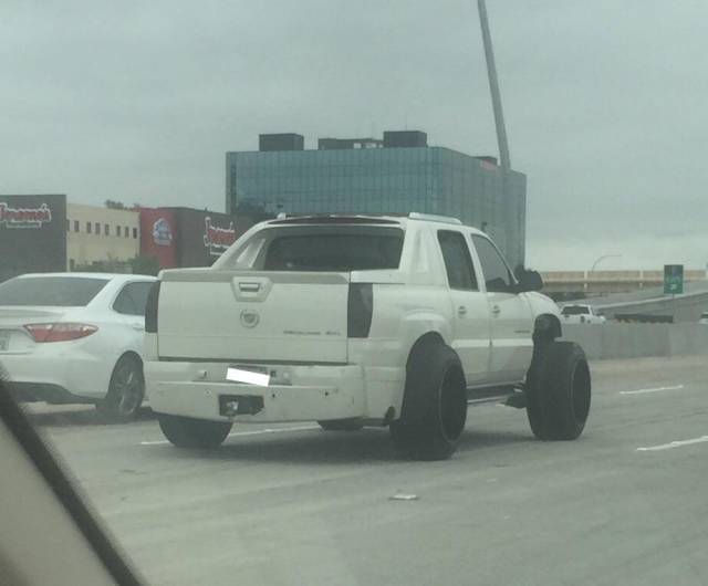 Morning Picdump