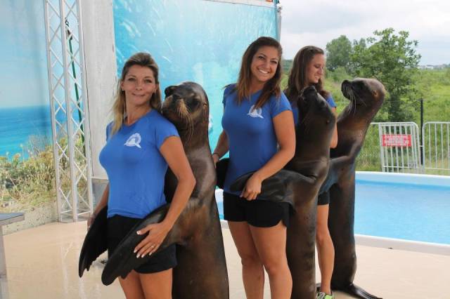 Morning Picdump