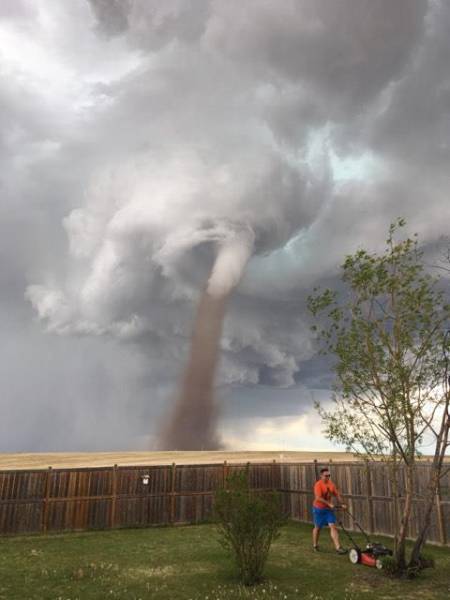 Daily Picdump [WEEKEND EDITION]