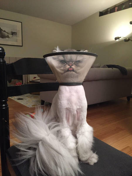 Daily Picdump [WEEKEND EDITION]