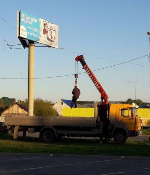 Daily Picdump