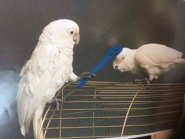 daily picdump 104 pics 43.html - 104 HD Photos | Premium Gallery 2017