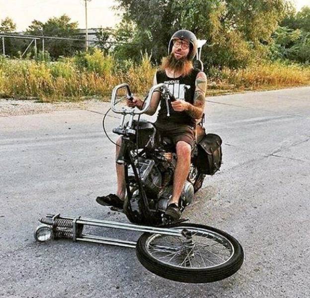 Daily Picdump
