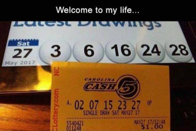 Daily Picdump