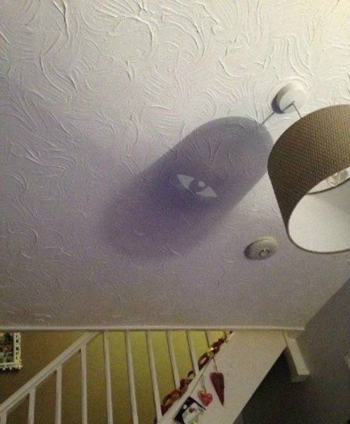 Daily Picdump